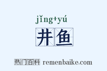 井鱼是什么意思的图片